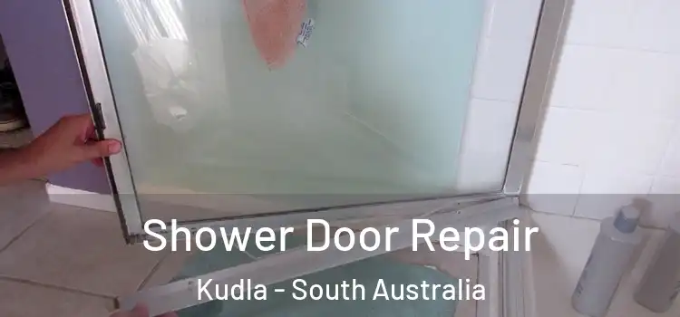 Shower Door Repair Kudla - South Australia