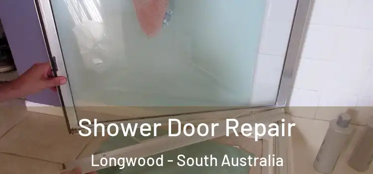 Shower Door Repair Longwood - South Australia