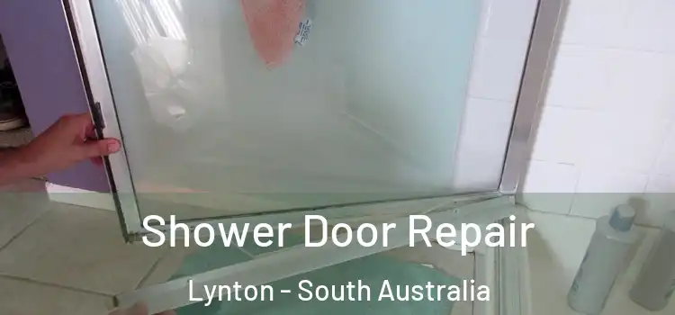 Shower Door Repair Lynton - South Australia