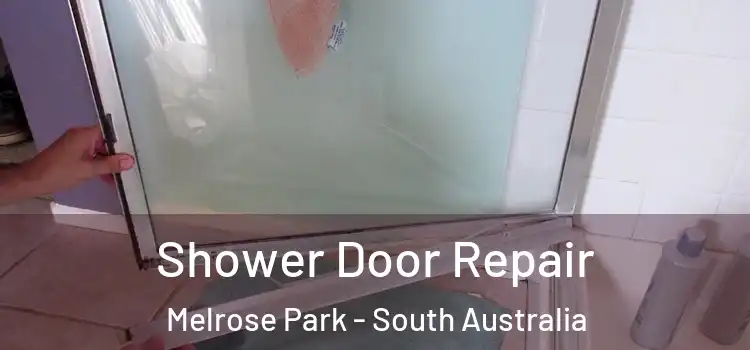 Shower Door Repair Melrose Park - South Australia