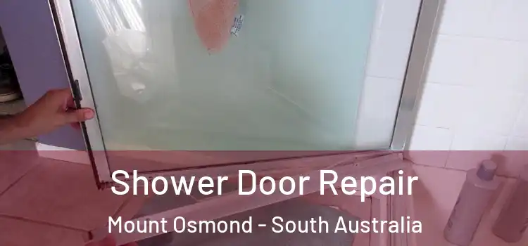 Shower Door Repair Mount Osmond - South Australia