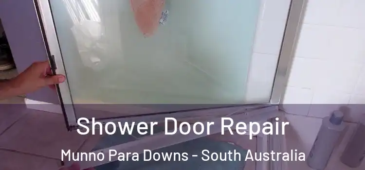 Shower Door Repair Munno Para Downs - South Australia