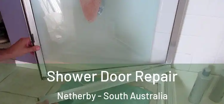 Shower Door Repair Netherby - South Australia