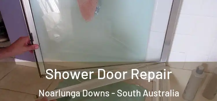 Shower Door Repair Noarlunga Downs - South Australia