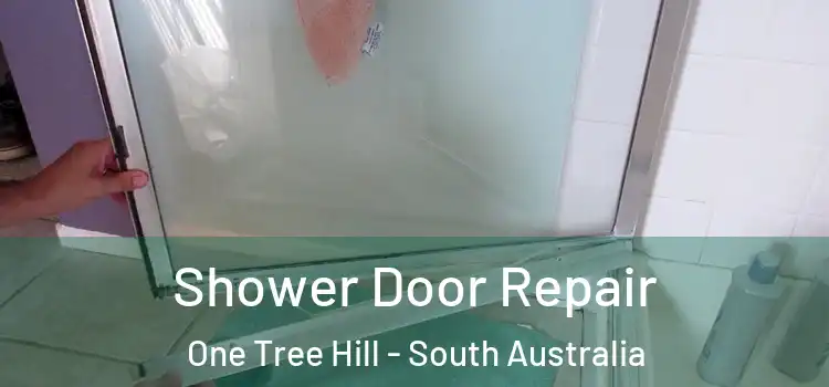 Shower Door Repair One Tree Hill - South Australia