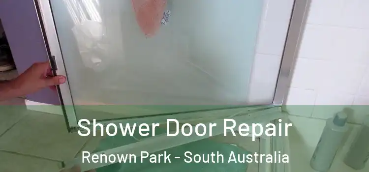 Shower Door Repair Renown Park - South Australia