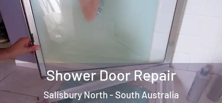 Shower Door Repair Salisbury North - South Australia