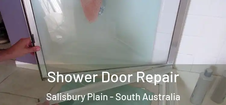 Shower Door Repair Salisbury Plain - South Australia