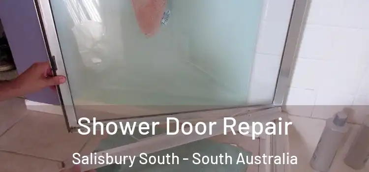 Shower Door Repair Salisbury South - South Australia