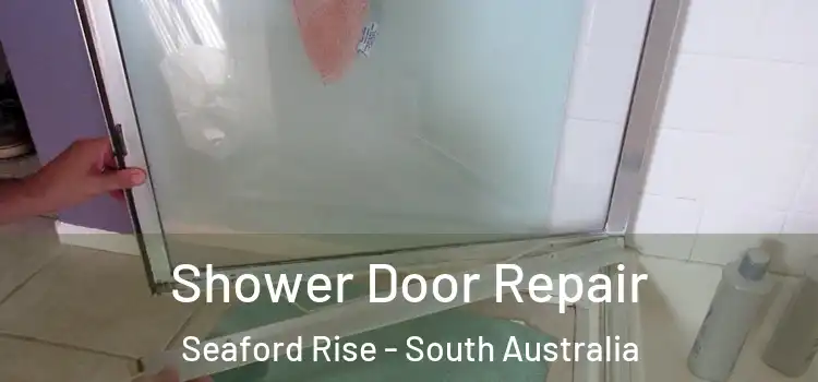 Shower Door Repair Seaford Rise - South Australia
