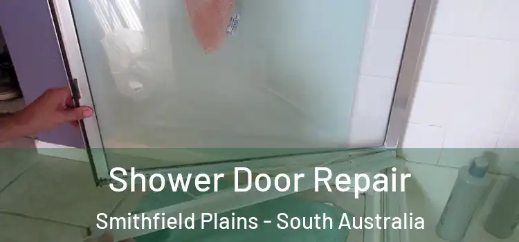 Shower Door Repair Smithfield Plains - South Australia