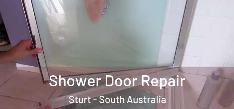 Shower Door Repair Sturt - South Australia