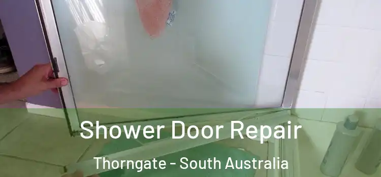 Shower Door Repair Thorngate - South Australia