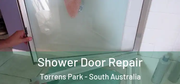 Shower Door Repair Torrens Park - South Australia