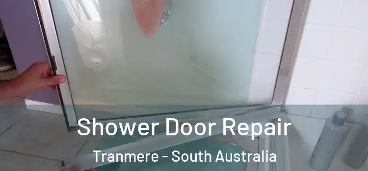 Shower Door Repair Tranmere - South Australia