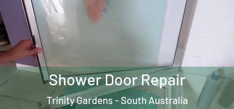Shower Door Repair Trinity Gardens - South Australia