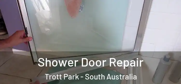 Shower Door Repair Trott Park - South Australia