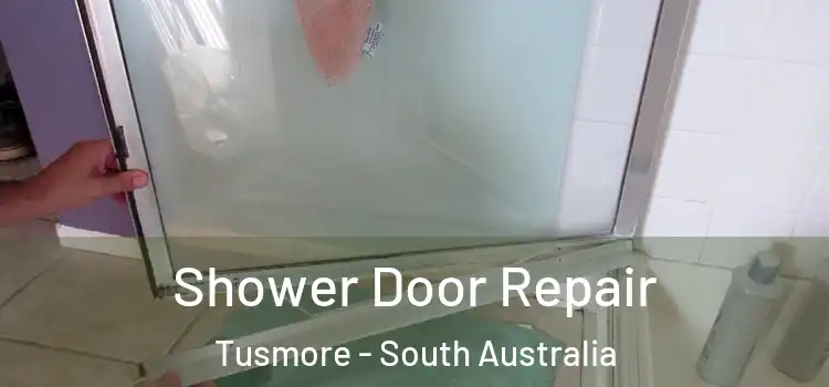 Shower Door Repair Tusmore - South Australia