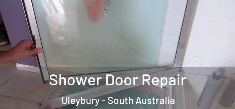 Shower Door Repair Uleybury - South Australia