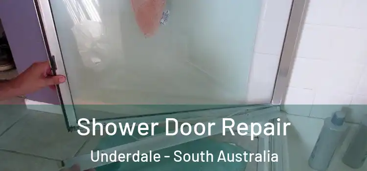 Shower Door Repair Underdale - South Australia