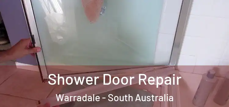 Shower Door Repair Warradale - South Australia