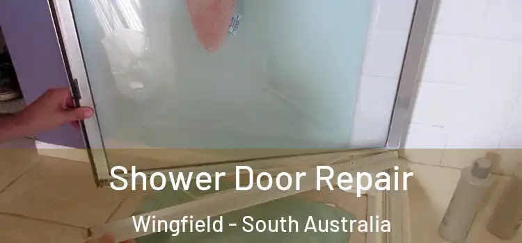 Shower Door Repair Wingfield - South Australia