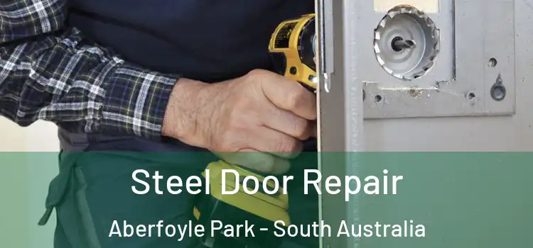 Steel Door Repair Aberfoyle Park - South Australia