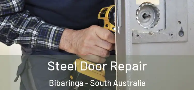 Steel Door Repair Bibaringa - South Australia