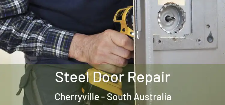 Steel Door Repair Cherryville - South Australia