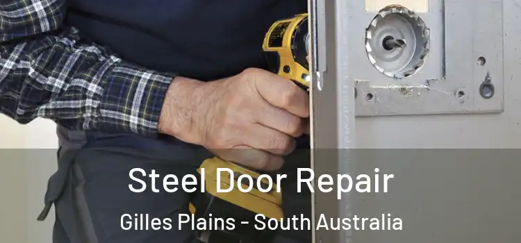 Steel Door Repair Gilles Plains - South Australia