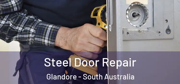 Steel Door Repair Glandore - South Australia