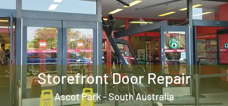 Storefront Door Repair Ascot Park - South Australia