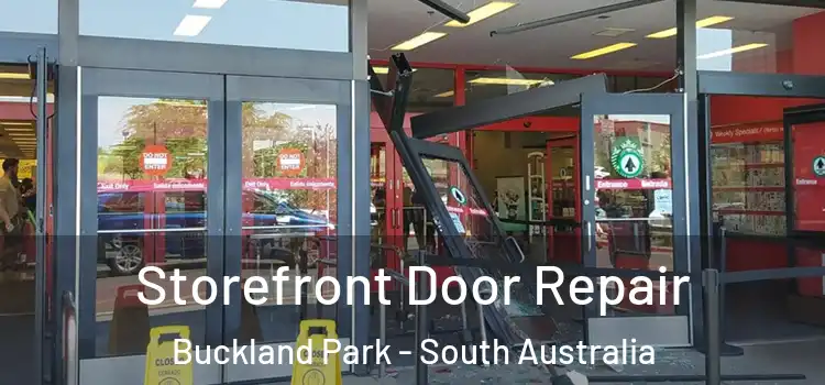 Storefront Door Repair Buckland Park - South Australia