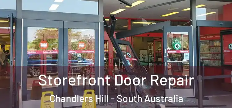 Storefront Door Repair Chandlers Hill - South Australia