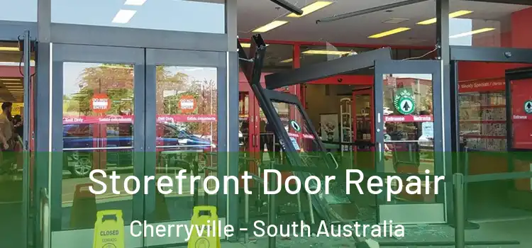 Storefront Door Repair Cherryville - South Australia