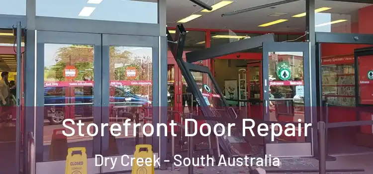 Storefront Door Repair Dry Creek - South Australia