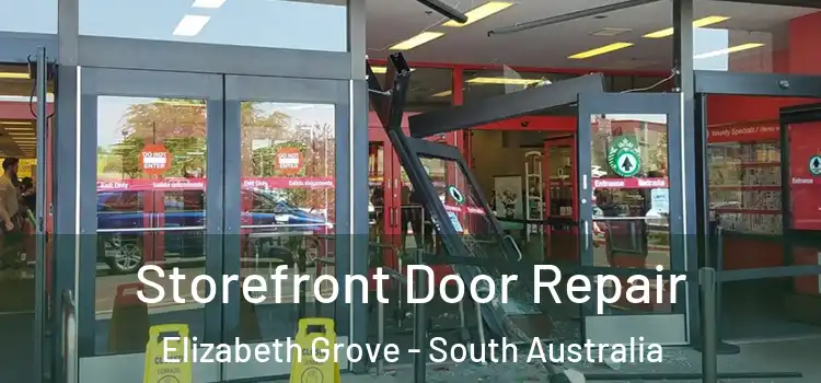 Storefront Door Repair Elizabeth Grove - South Australia