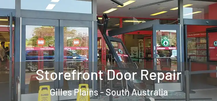 Storefront Door Repair Gilles Plains - South Australia