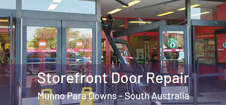 Storefront Door Repair Munno Para Downs - South Australia