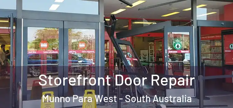 Storefront Door Repair Munno Para West - South Australia