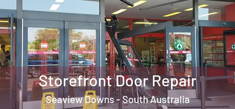 Storefront Door Repair Seaview Downs - South Australia