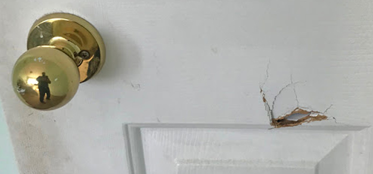 interior door hole repair Gepps Cross