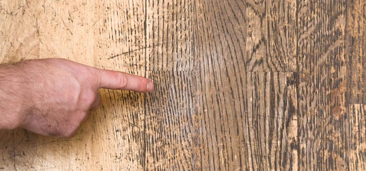 Wood Door Scratch Repair in Gepps Cross